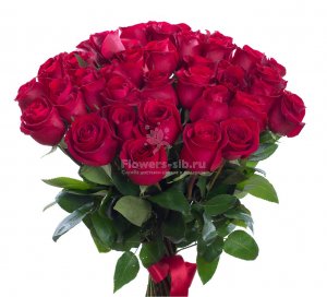 BOUQUET OF 33 ROSES